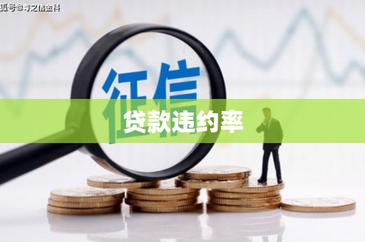 木里贷款违约率
