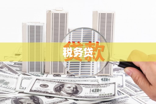 木里税务贷