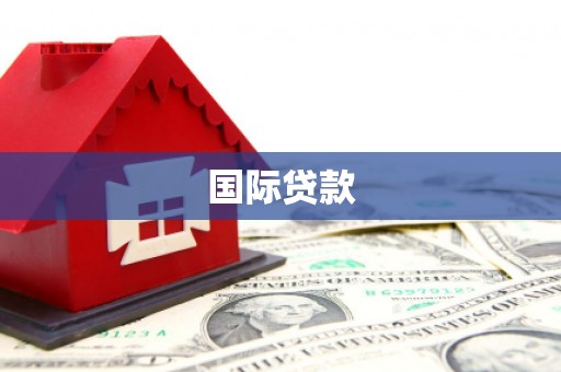 木里国际贷款