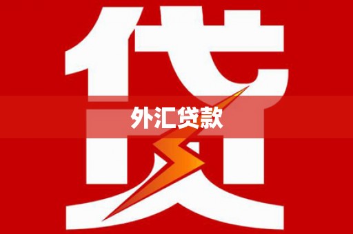 木里外汇贷款