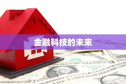 木里金融科技的未来