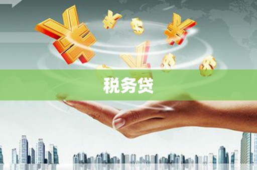木里税务贷