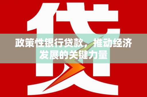 木里政策性银行贷款，推动经济发展的关键力量
