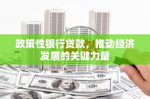 木里政策性银行贷款，推动经济发展的关键力量