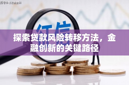 木里探索贷款风险转移方法，金融创新的关键路径