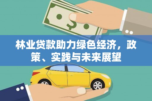 木里林业贷款助力绿色经济，政策、实践与未来展望