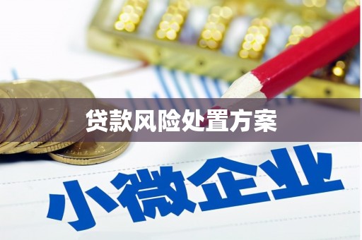 木里贷款风险处置方案