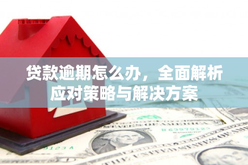 木里贷款逾期怎么办，全面解析应对策略与解决方案