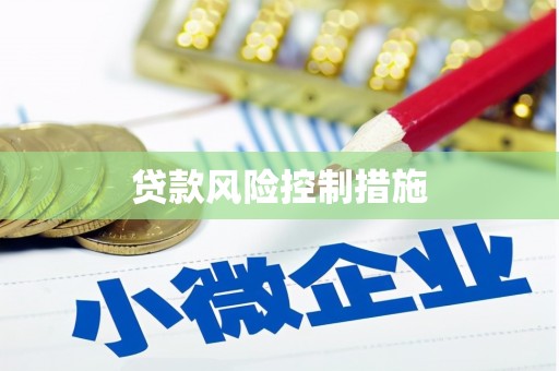 木里贷款风险控制措施