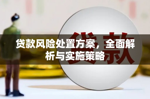 木里贷款风险处置方案，全面解析与实施策略