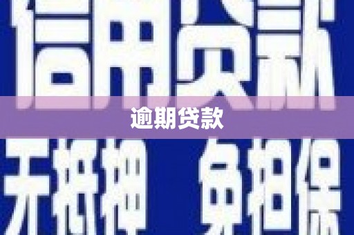木里逾期贷款